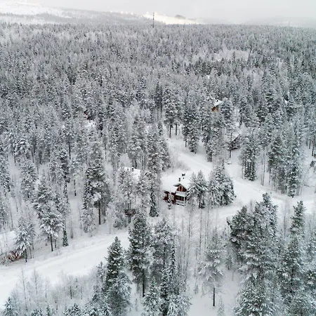 Alpine Fox By Aavalevi *