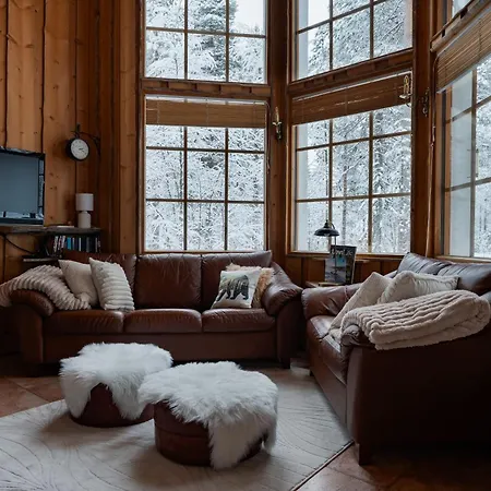 Daire Alpine Fox By Aavalevi