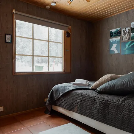 Alpine Fox By Aavalevi Daire