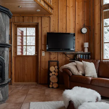 Alpine Fox By Aavalevi *