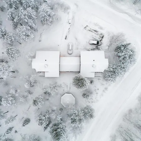 Alpine Fox By Aavalevi Levi