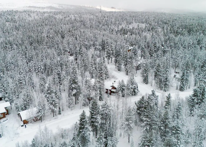 Alpine Fox By Aavalevi *