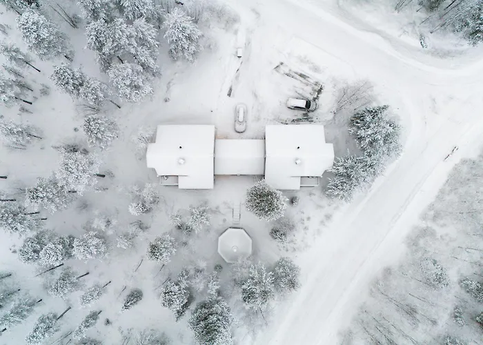 Alpine Fox By Aavalevi Levi