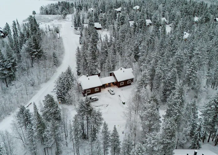 Alpine Fox By Aavalevi * Levi